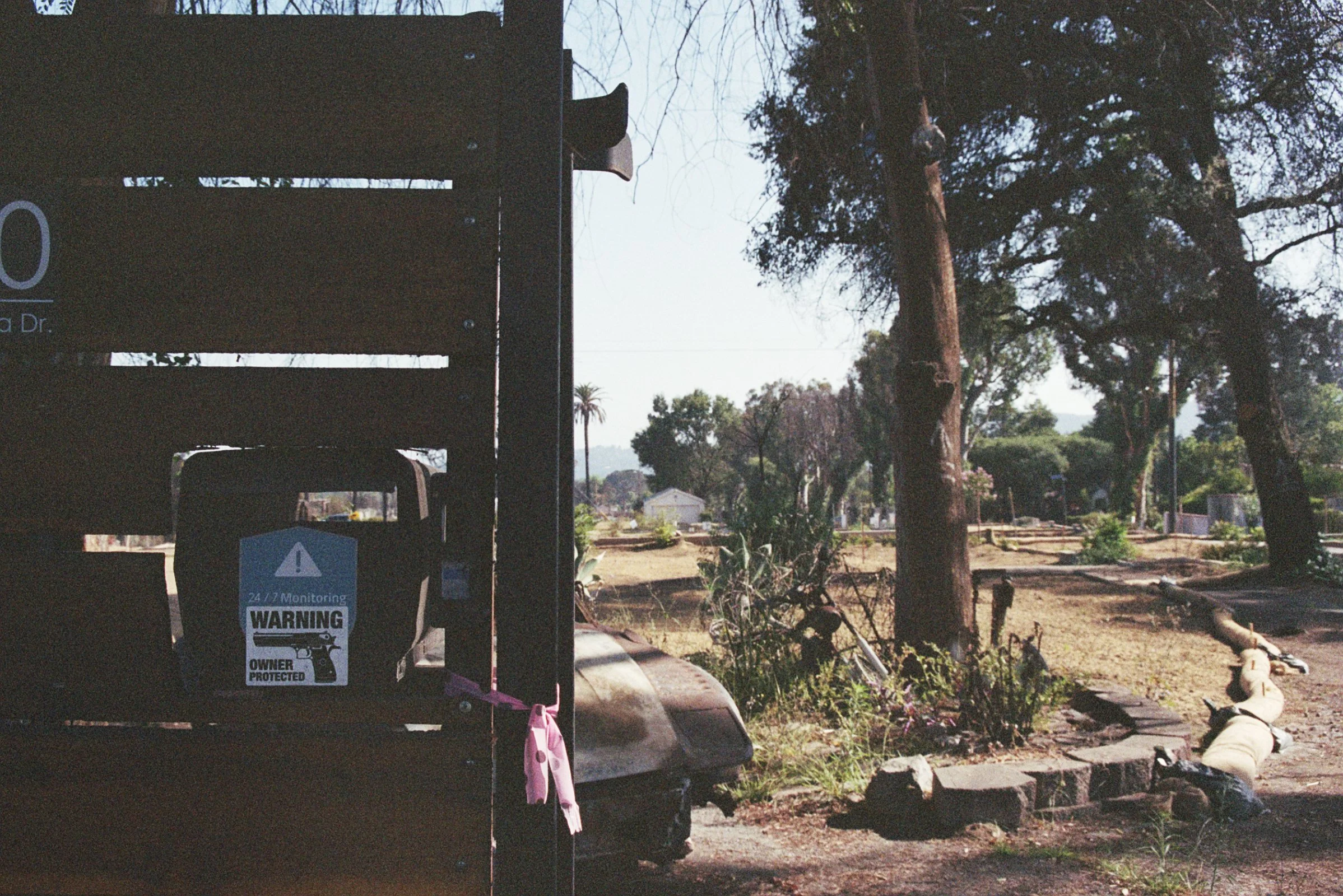 12A_00733.jpg