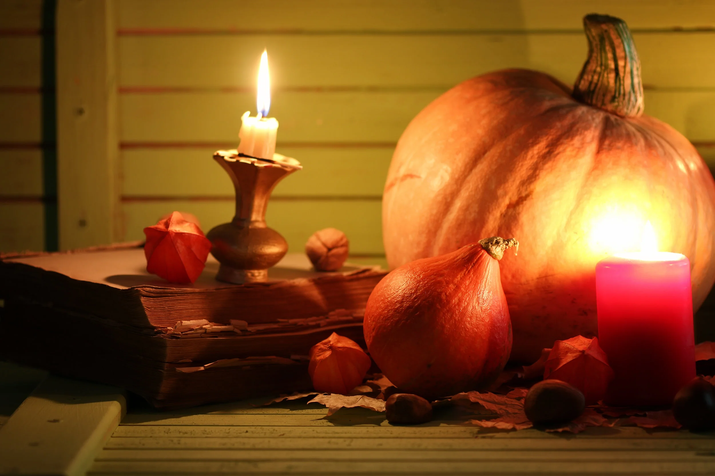 AdobeStock_159326556.jpeg