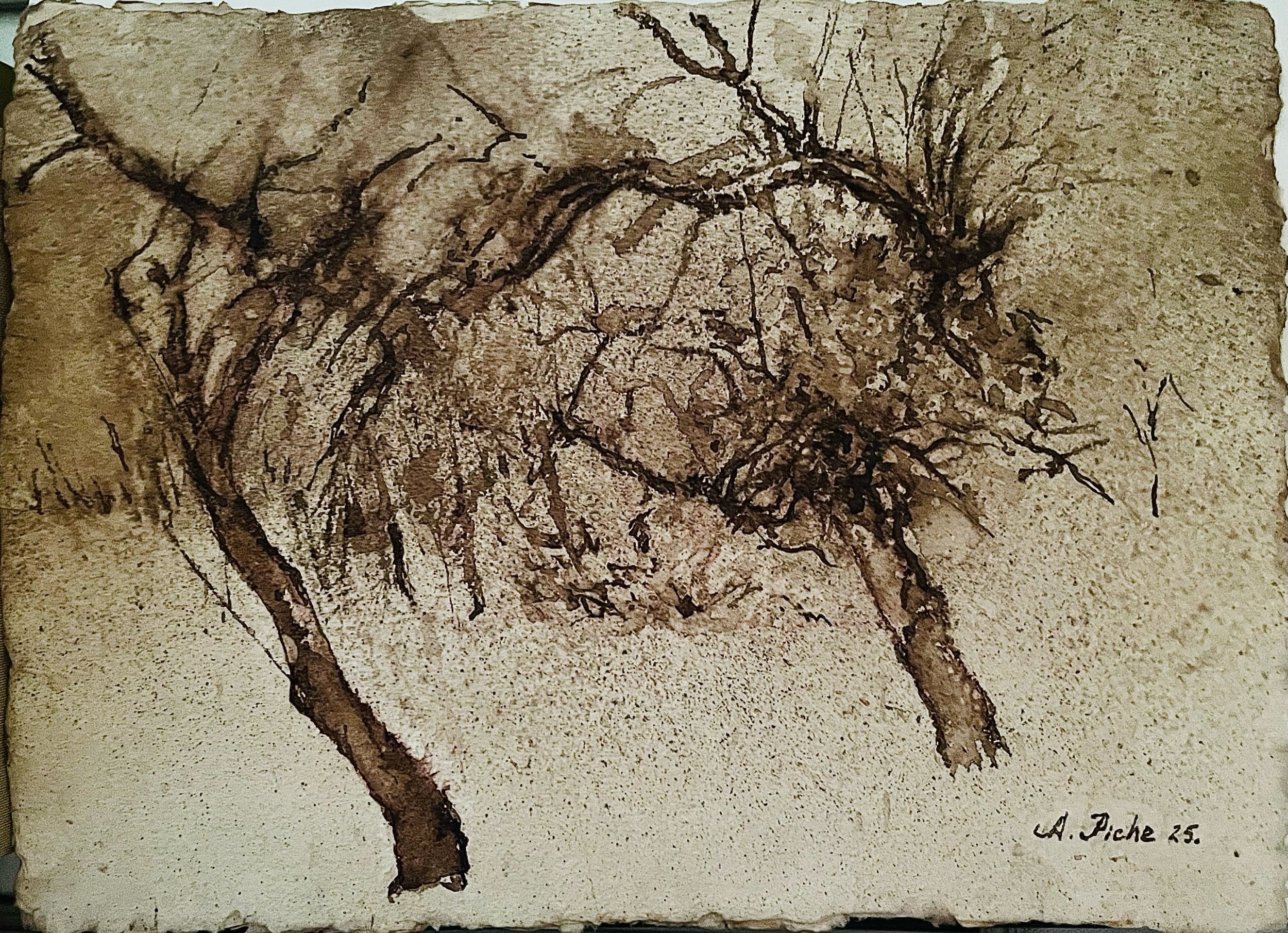 Trees / 2025