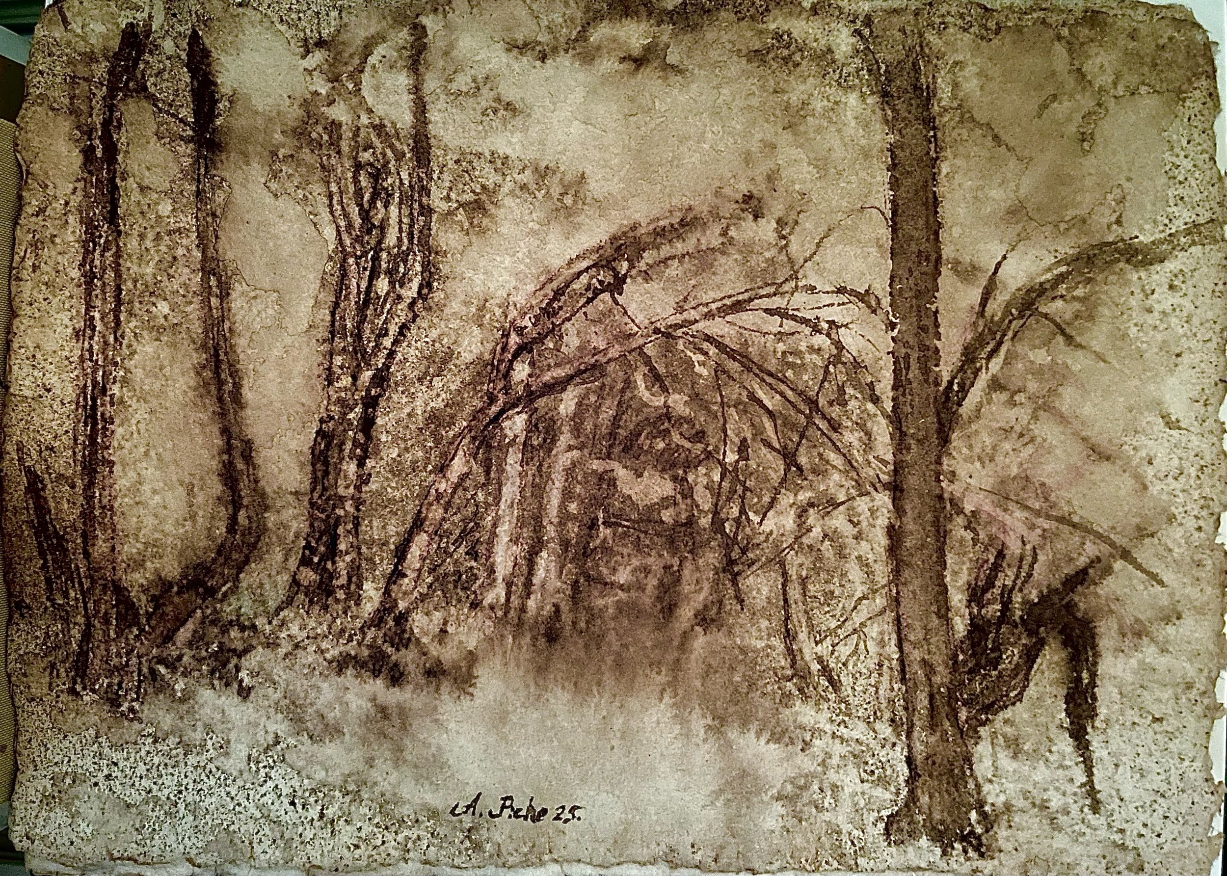 Trees / 2025