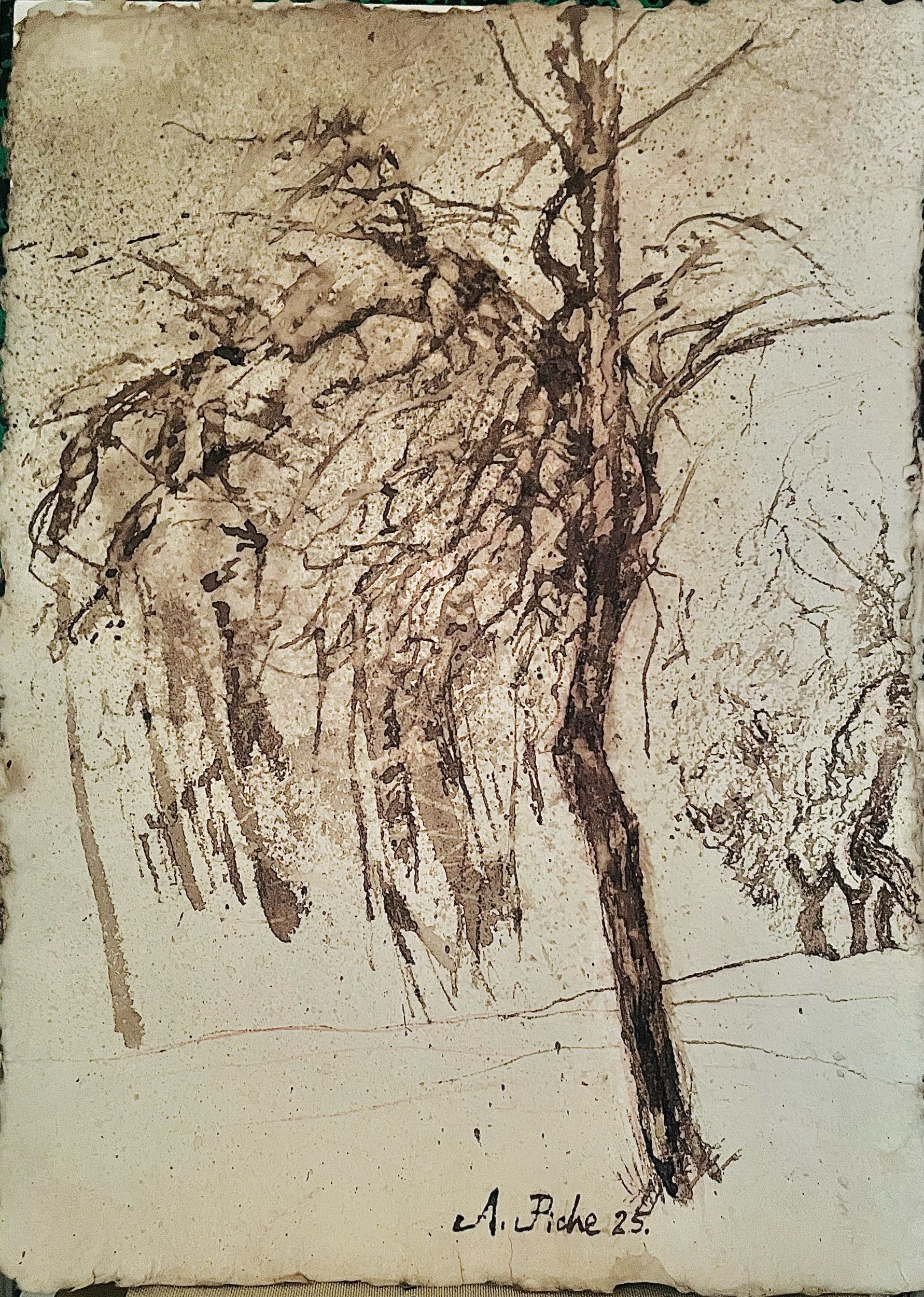 Trees / 2025