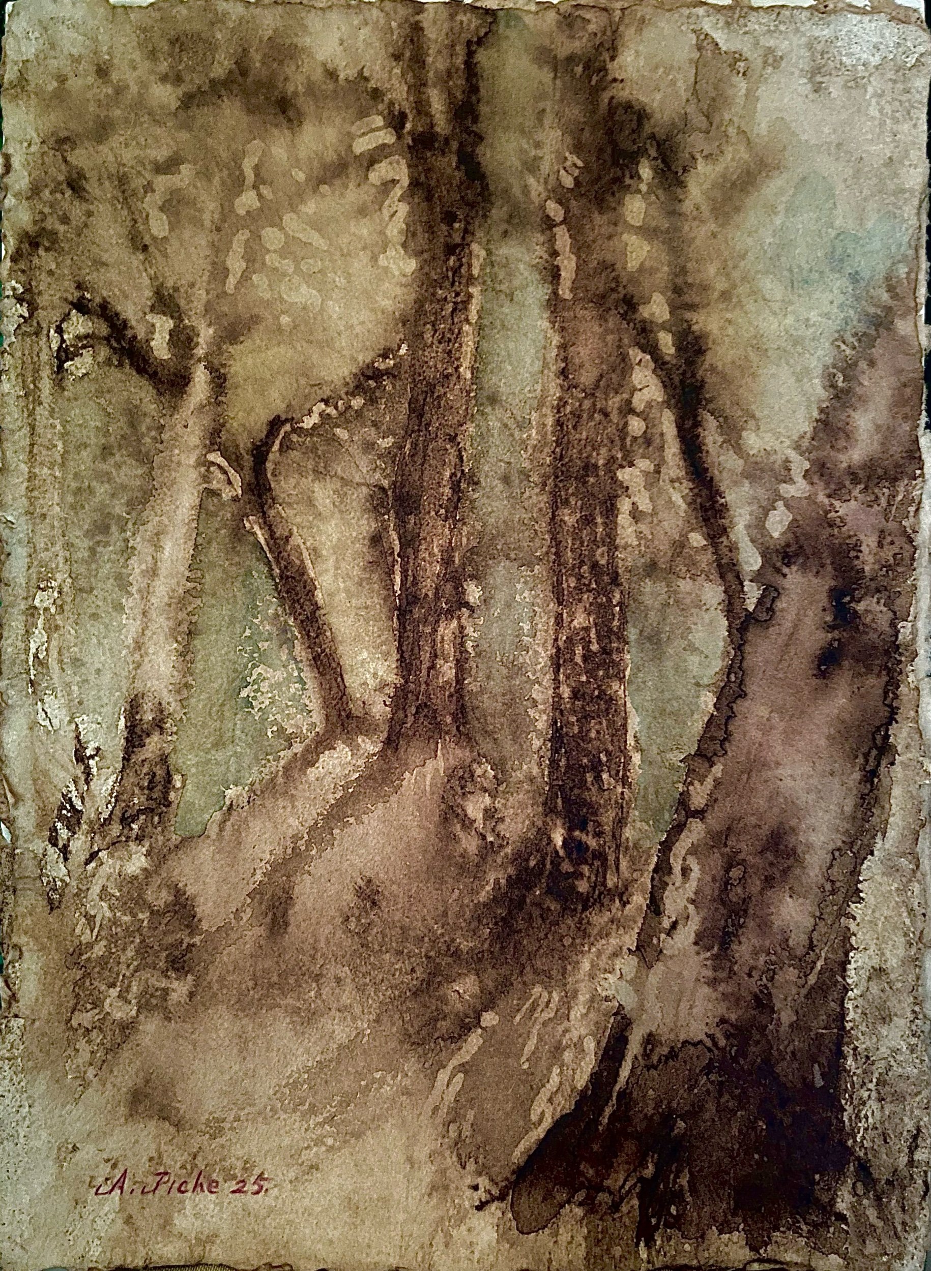 Trees / 2025