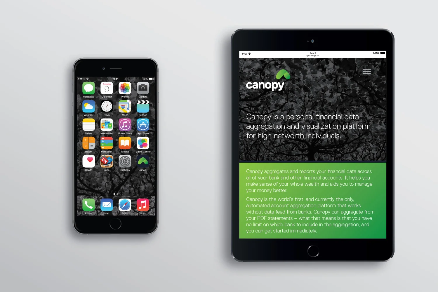 canopy icons and interface
