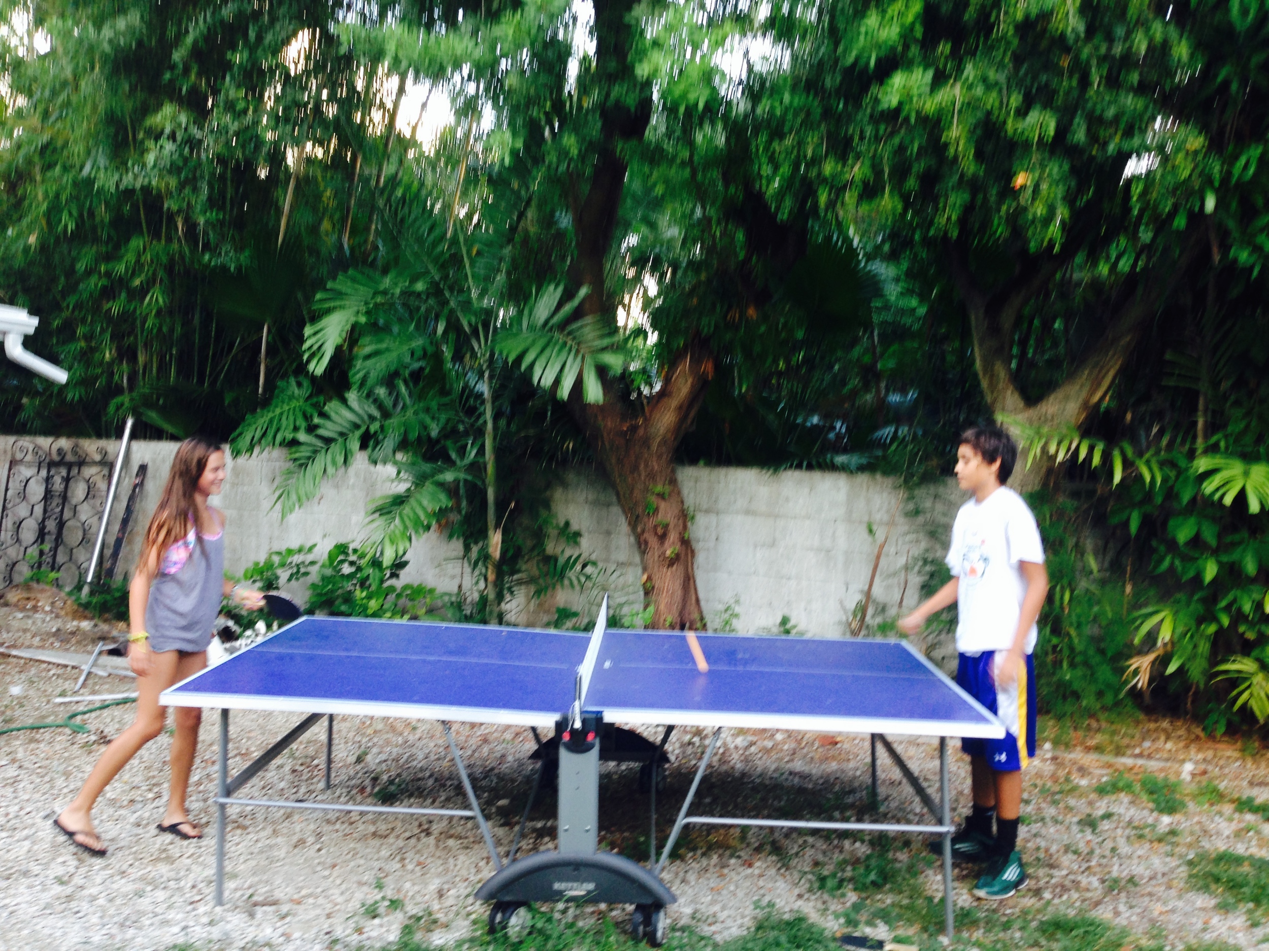 ping pong table