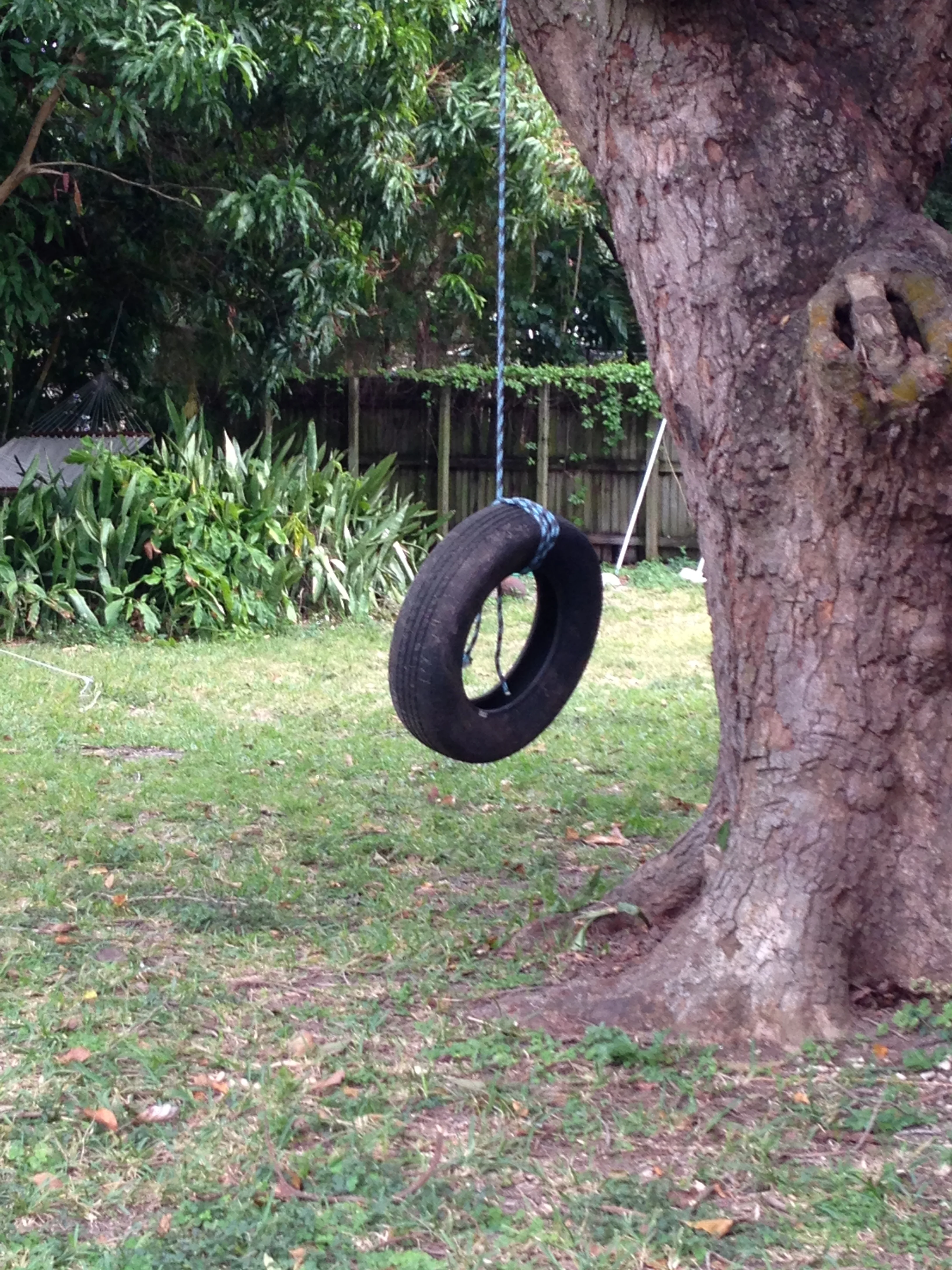 tire swing