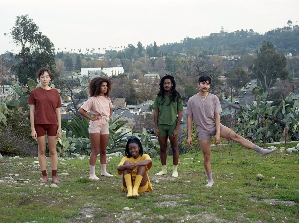 Five people in Pansy T-shirts, shorts and socks on a grassy hillside above the city.