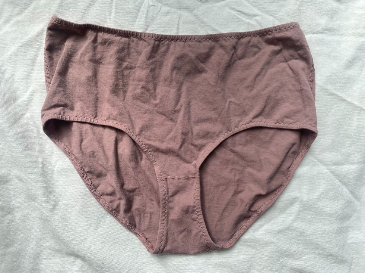 spandex organic cotton high rise underwear — PANSY