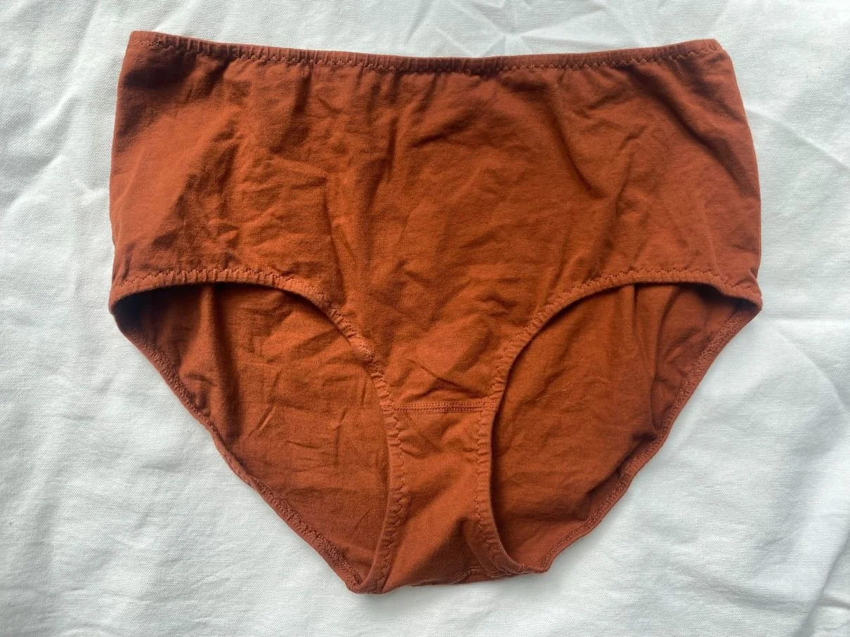 spandex organic cotton high rise underwear — PANSY