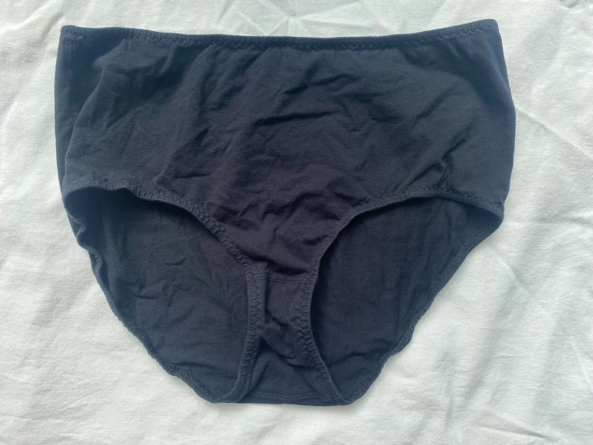 spandex organic cotton high rise underwear — PANSY