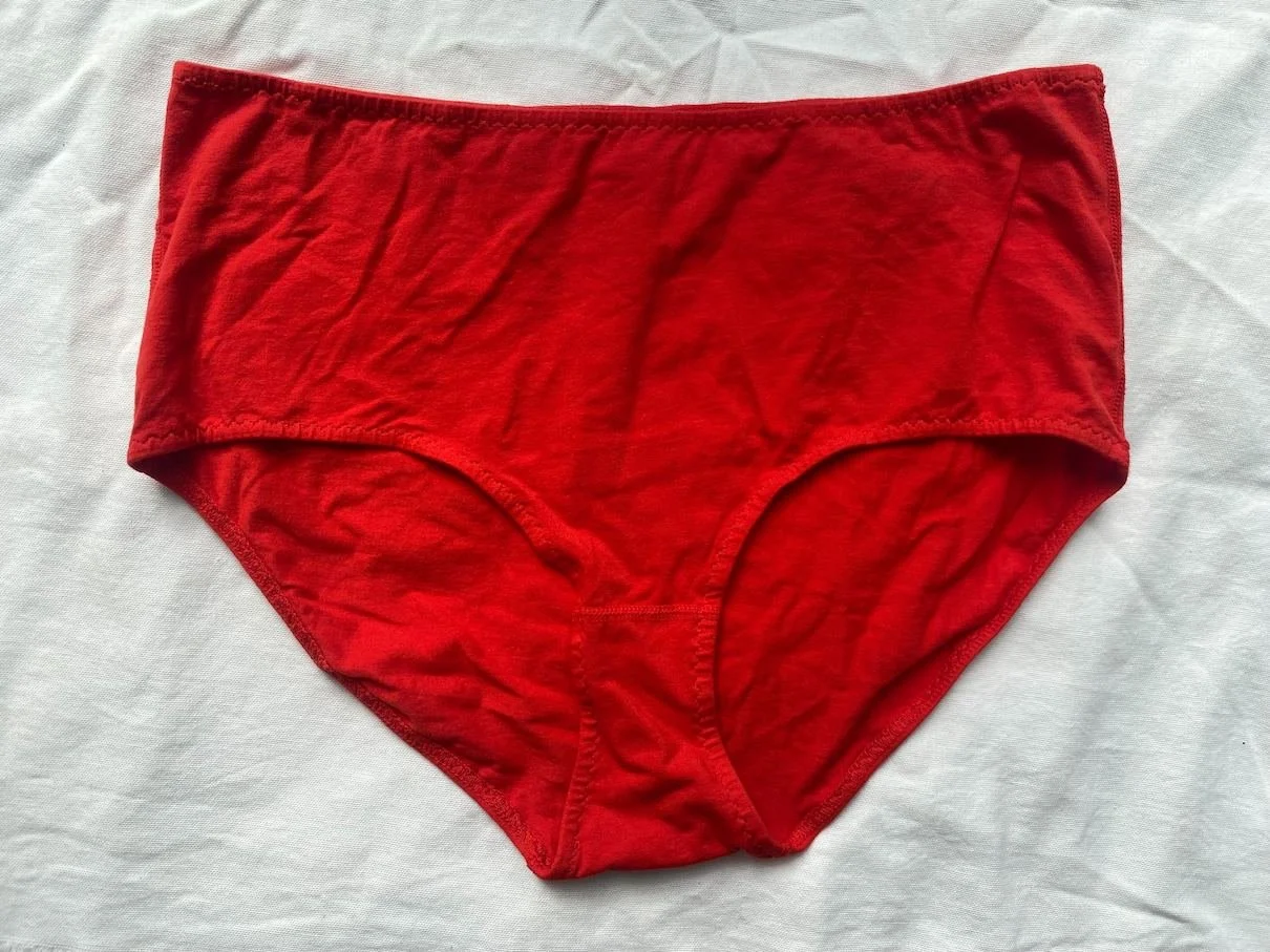 spandex organic cotton high rise underwear — PANSY