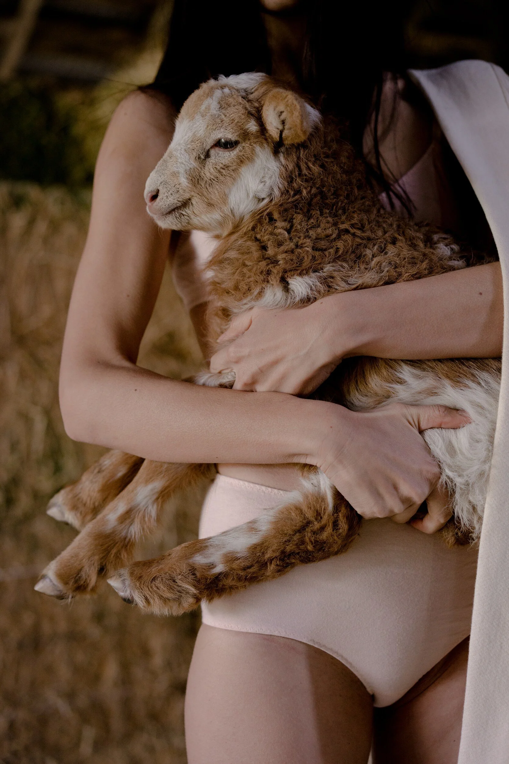 A close view of a model in pale pink underwear holding a brown and white lamb beside stacked hay.
