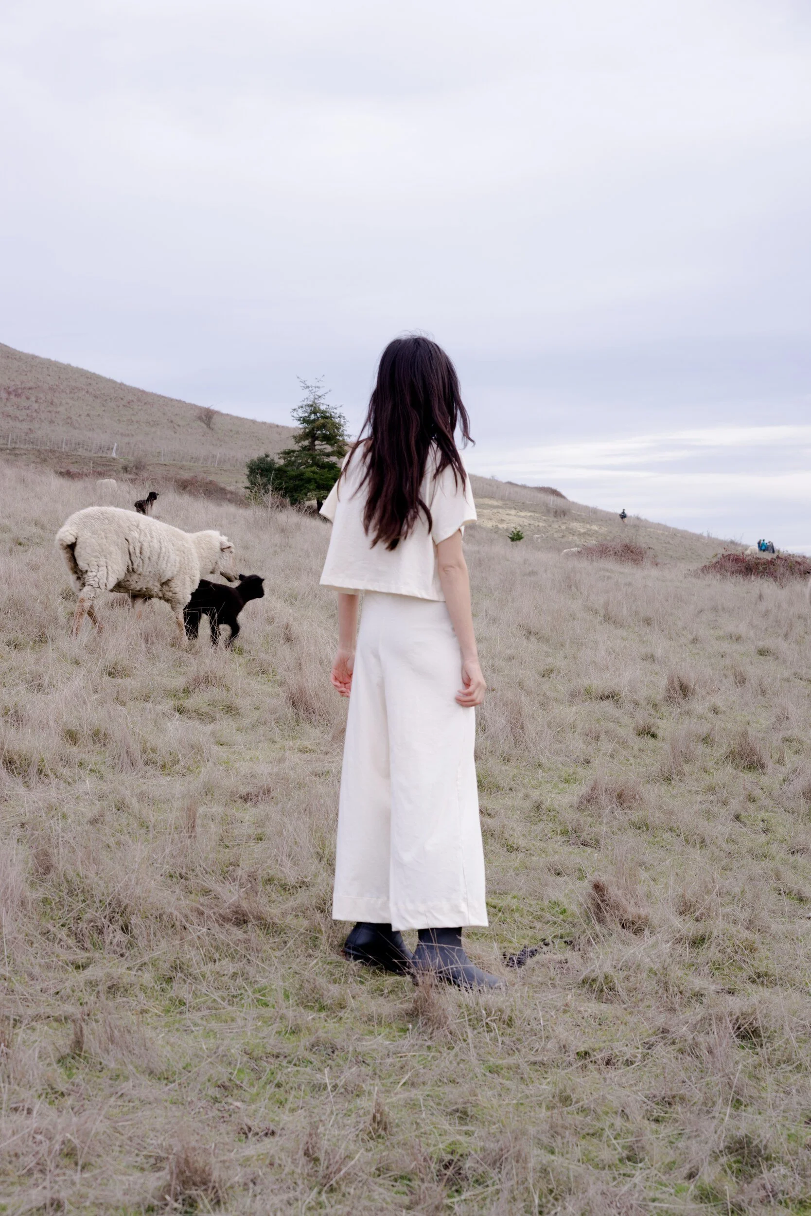 A model in a cream crop top, wide-leg trousers and black boots faces away beside grazing sheep on a hillside.