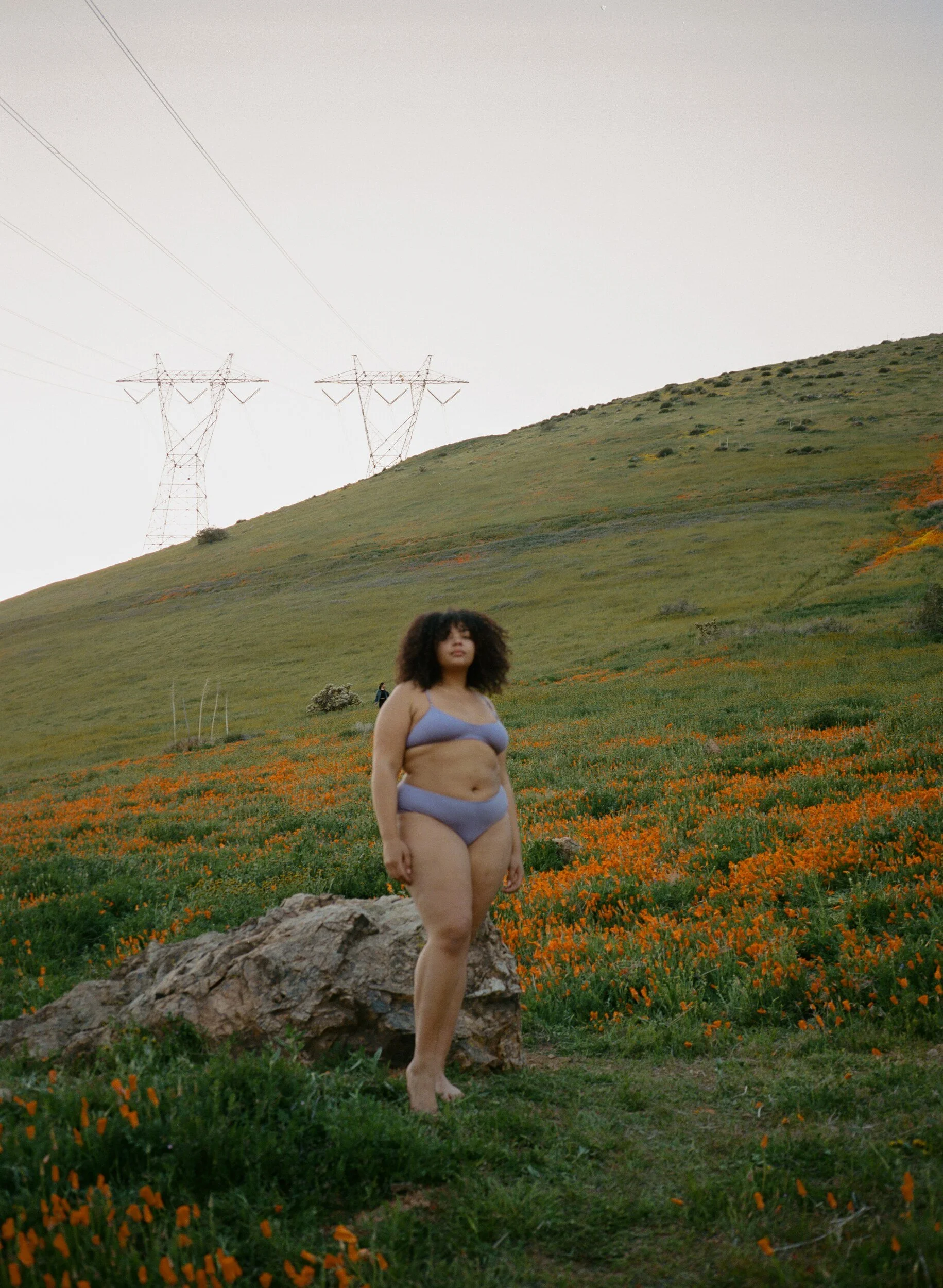 A model in lilac underwear stands beside a rock on a poppy-covered hillside, with power lines crossing the sky.