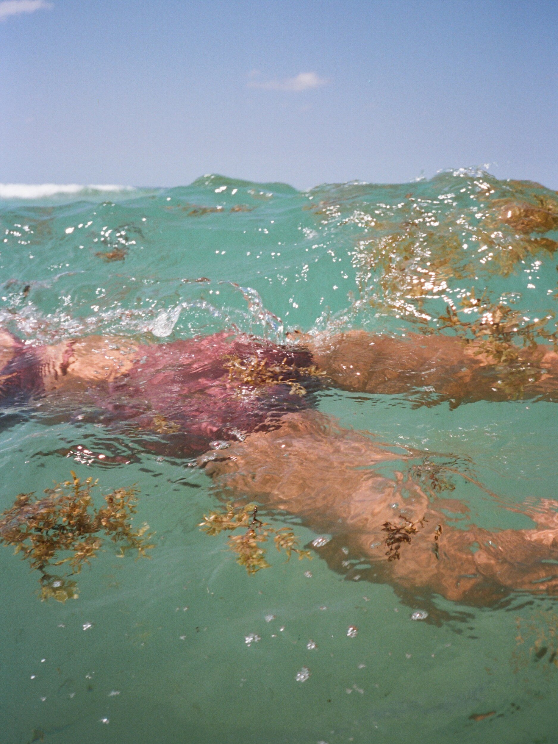 Mauve briefs and bare legs show through rippling turquoise water dotted with seaweed.