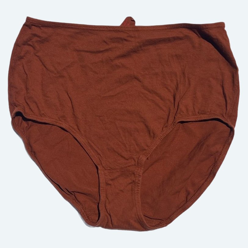 Flat lay of Pansy short xtra high rise underwear in rust on a pale blue-gray background.