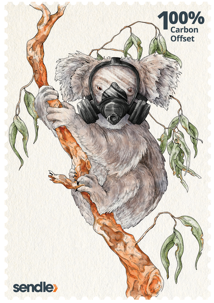 SENDLE_ALL_ANIMALS-1-KOALA.png