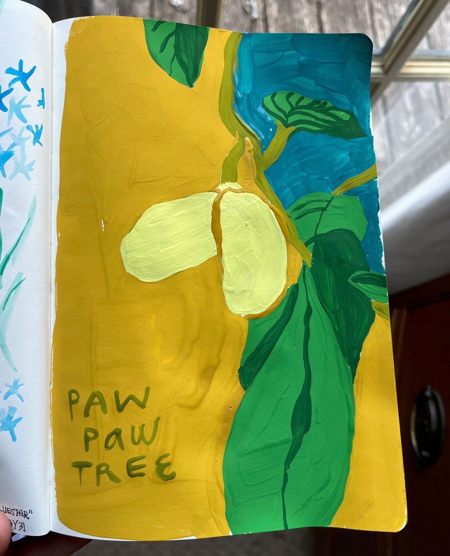 Hey Georgia friends! Have you seen a Paw Paw tree? I don't remember noticing these. But I get the impression they're quite common. (Looking at you for all the GA knowledge @aubpope!)⁠
.⁠
Context: For 100 days I'm painting flora and fauna native to Ge