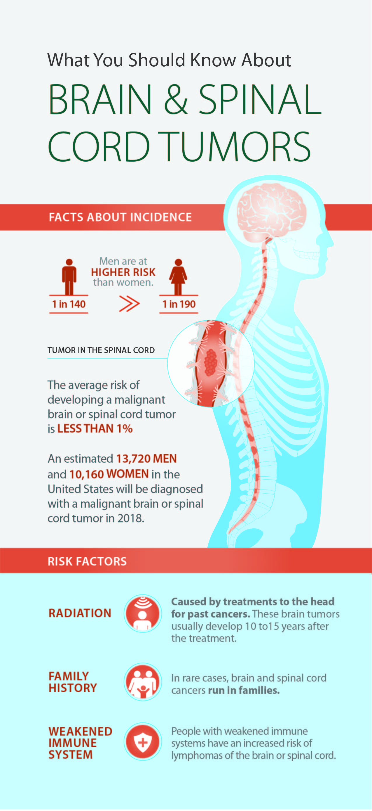 3772 Brain and Spinal Cord Tumors 4x9 Rack Card FINAL-01.jpg