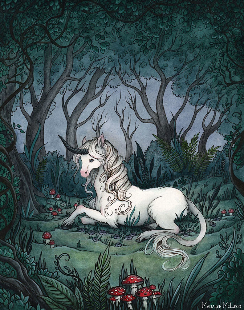 Wild Unicorn