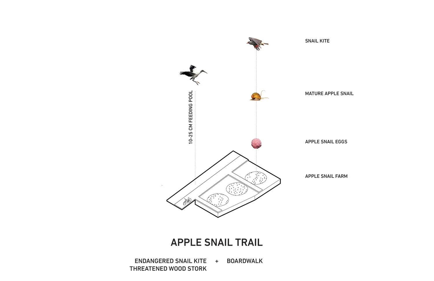 detail_applesnailtrail_web.jpg