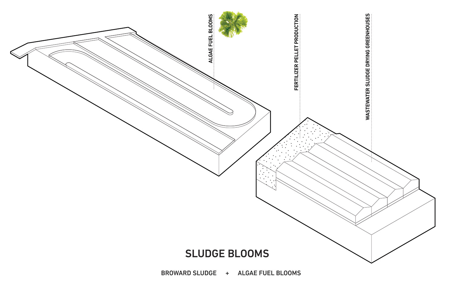detail_sludgeblooms_web.jpg