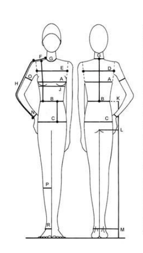 measurementguide.jpg