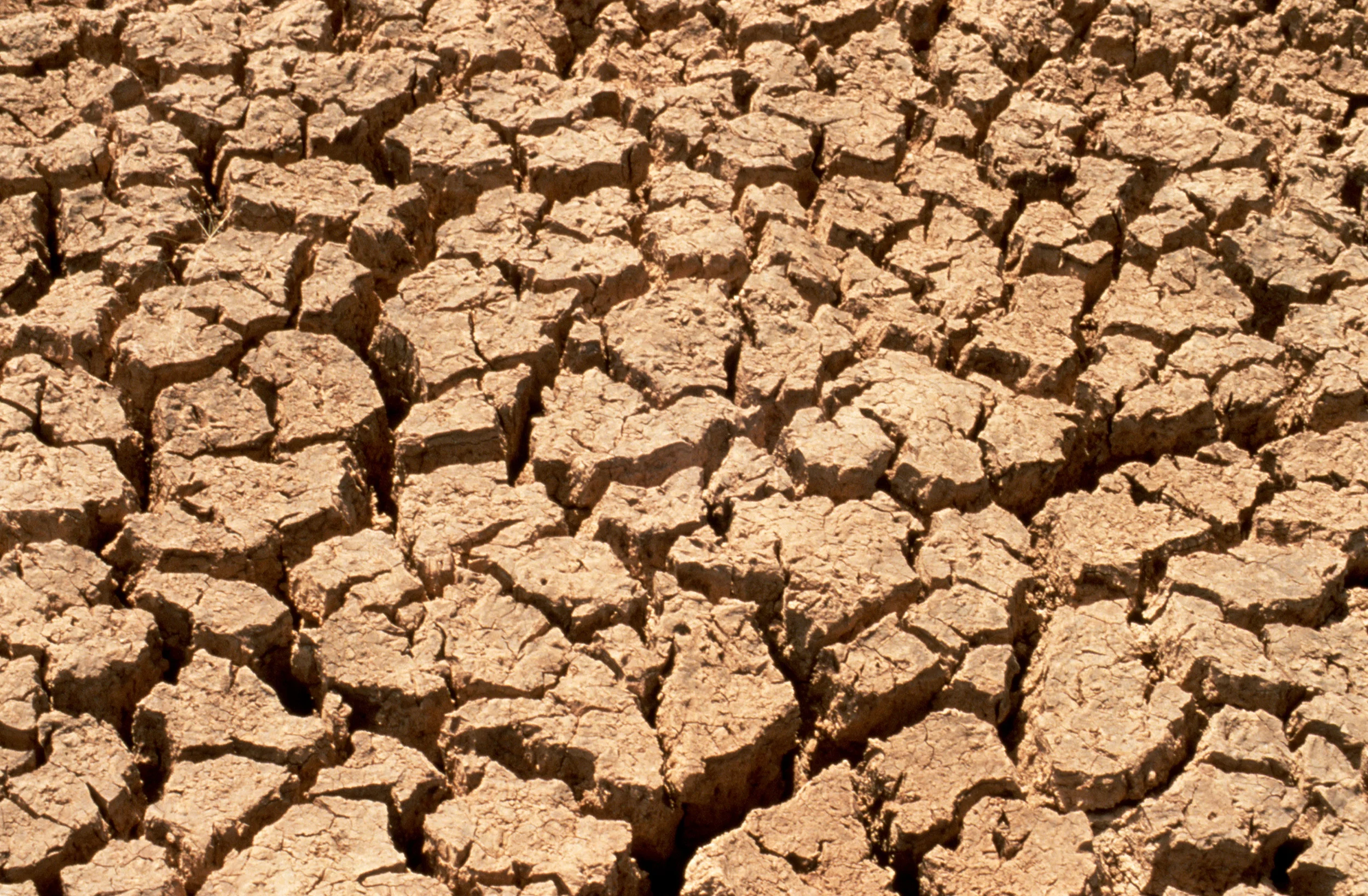 Drought.jpg