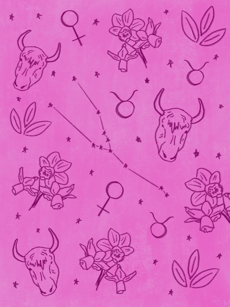 02_Taurus.png