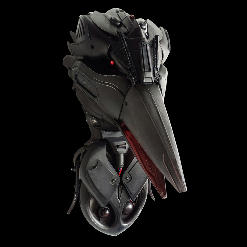 Juris the Crow