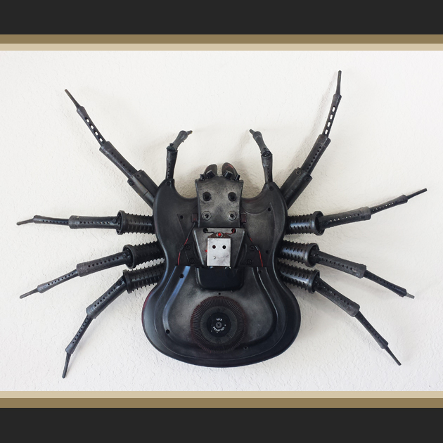 Vonda the Black Wolf Spider