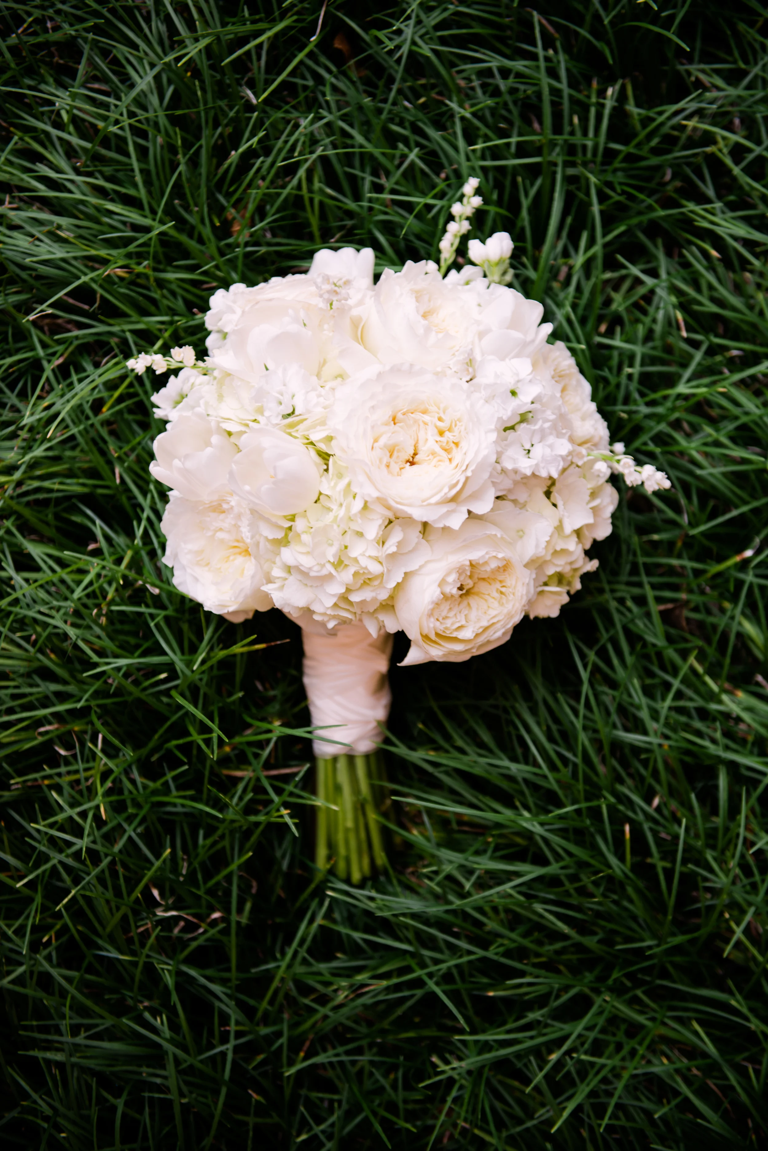 KJP (420 of 697).JPG