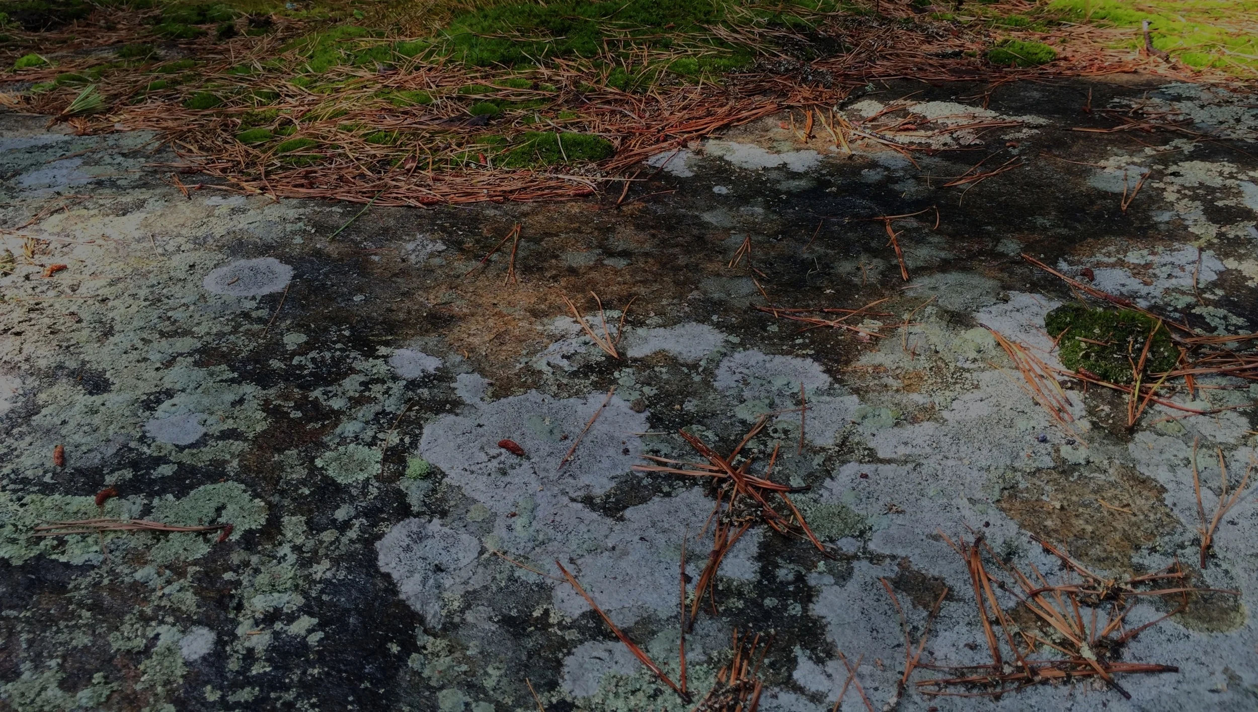 Desire Map Workshop: Two Day - Boston (Westwood)