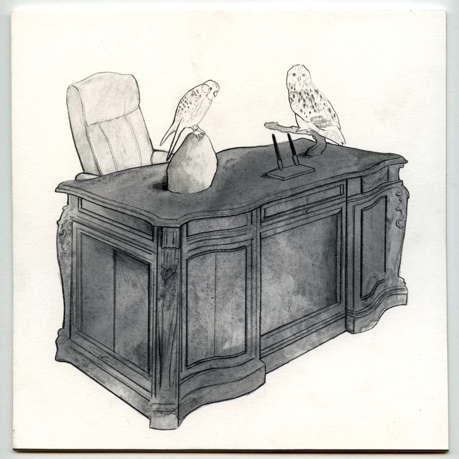 Two Pens and Two Taxidermic Birds on a Mahogany Office Desk, graphite and graphite wash on mat-board, 20x20cm