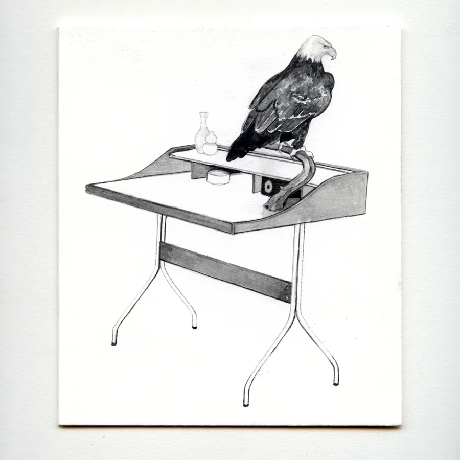 George Nelson Desk with Taxidermic Eagle, graphite on mat-board, 15x17.5cm