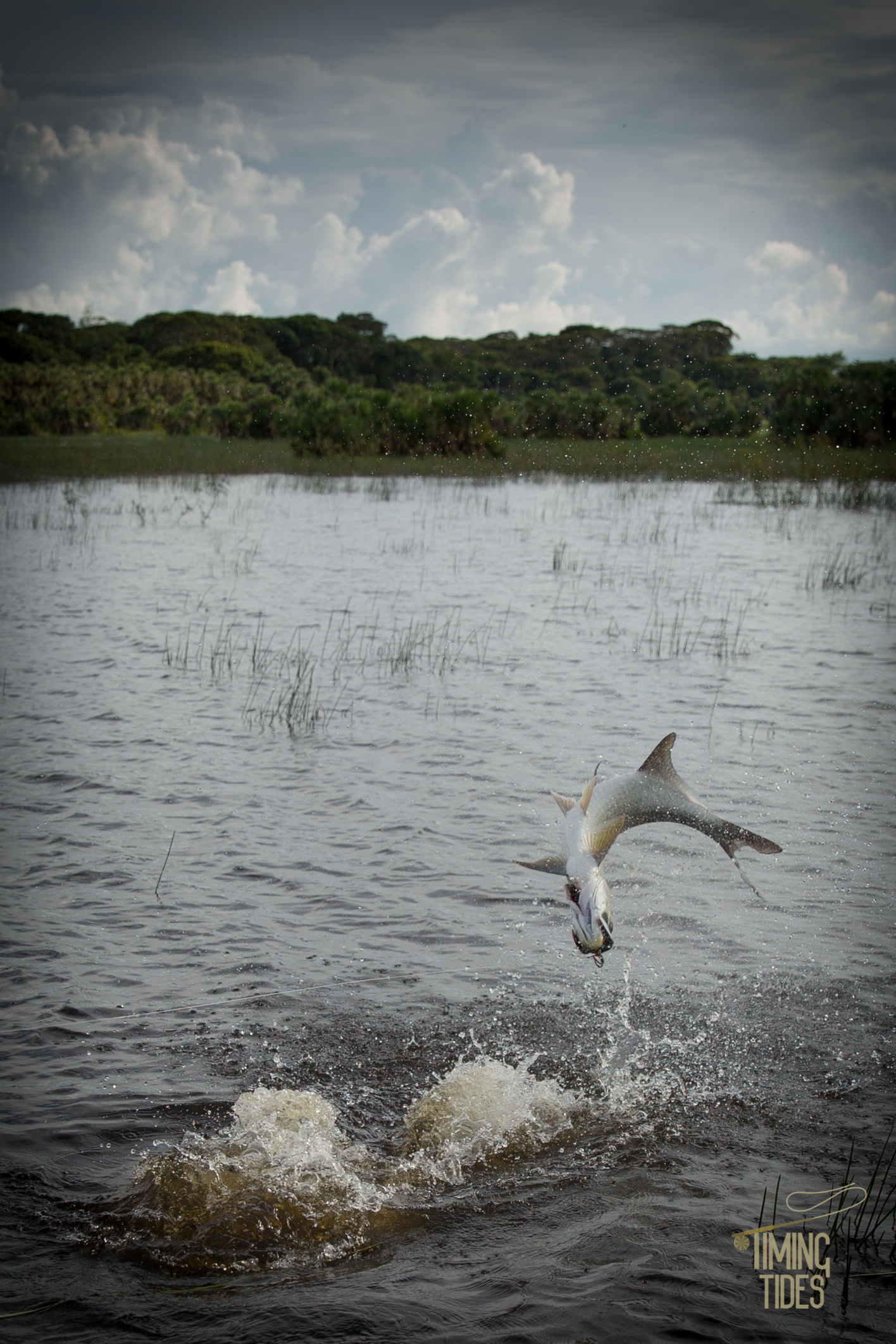 Caño Negro-8.jpg