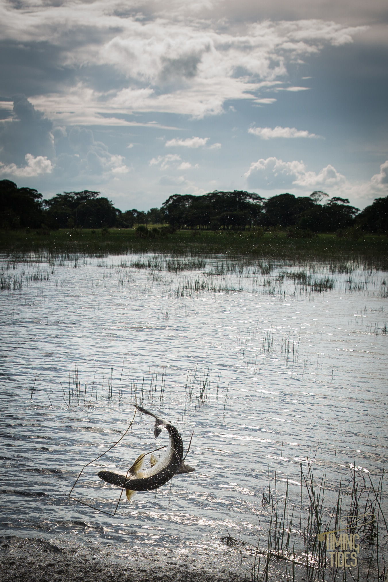 Caño Negro-9.jpg