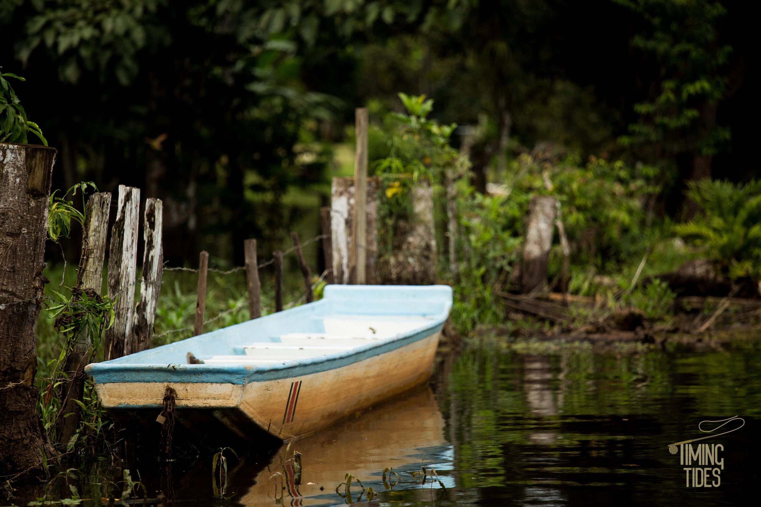 Caño Negro-22.jpg