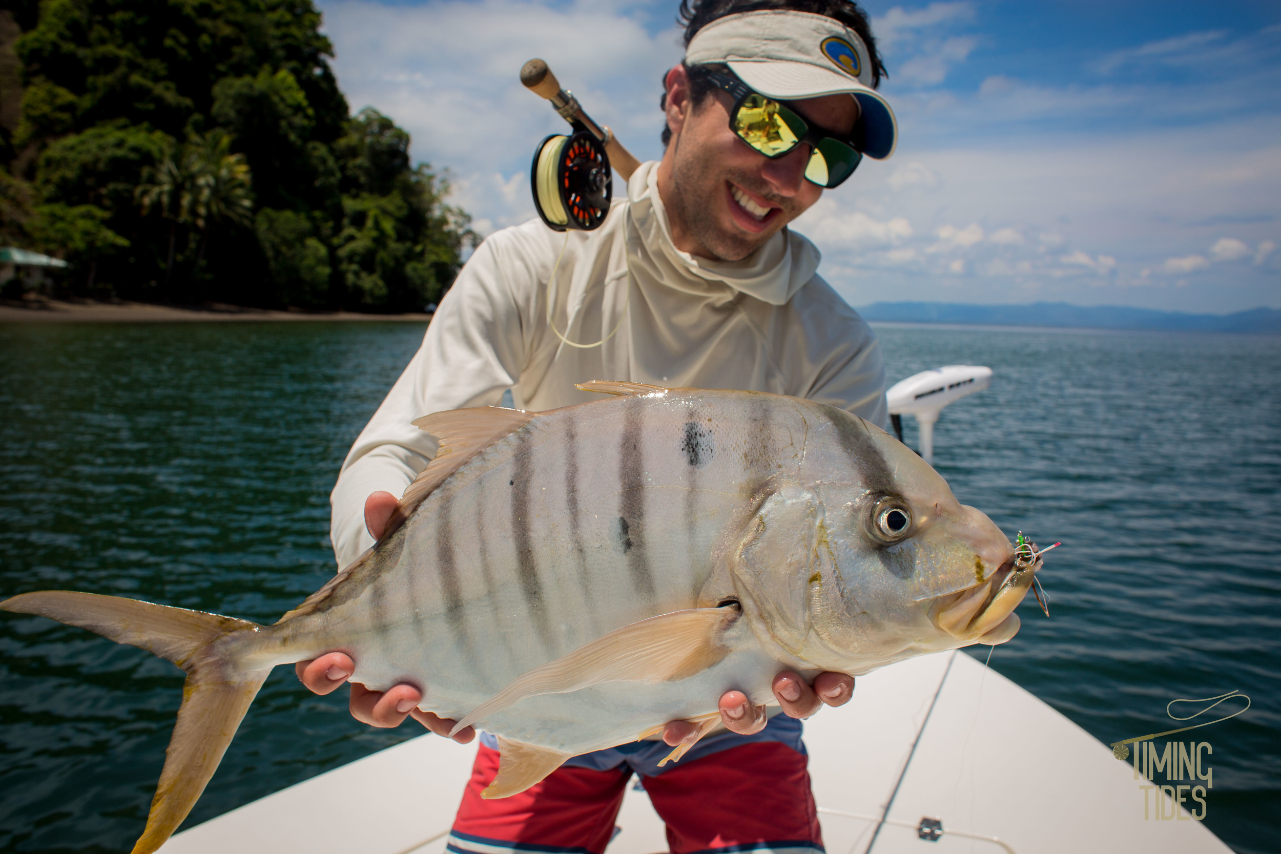 Golden-Trevally-1.jpg