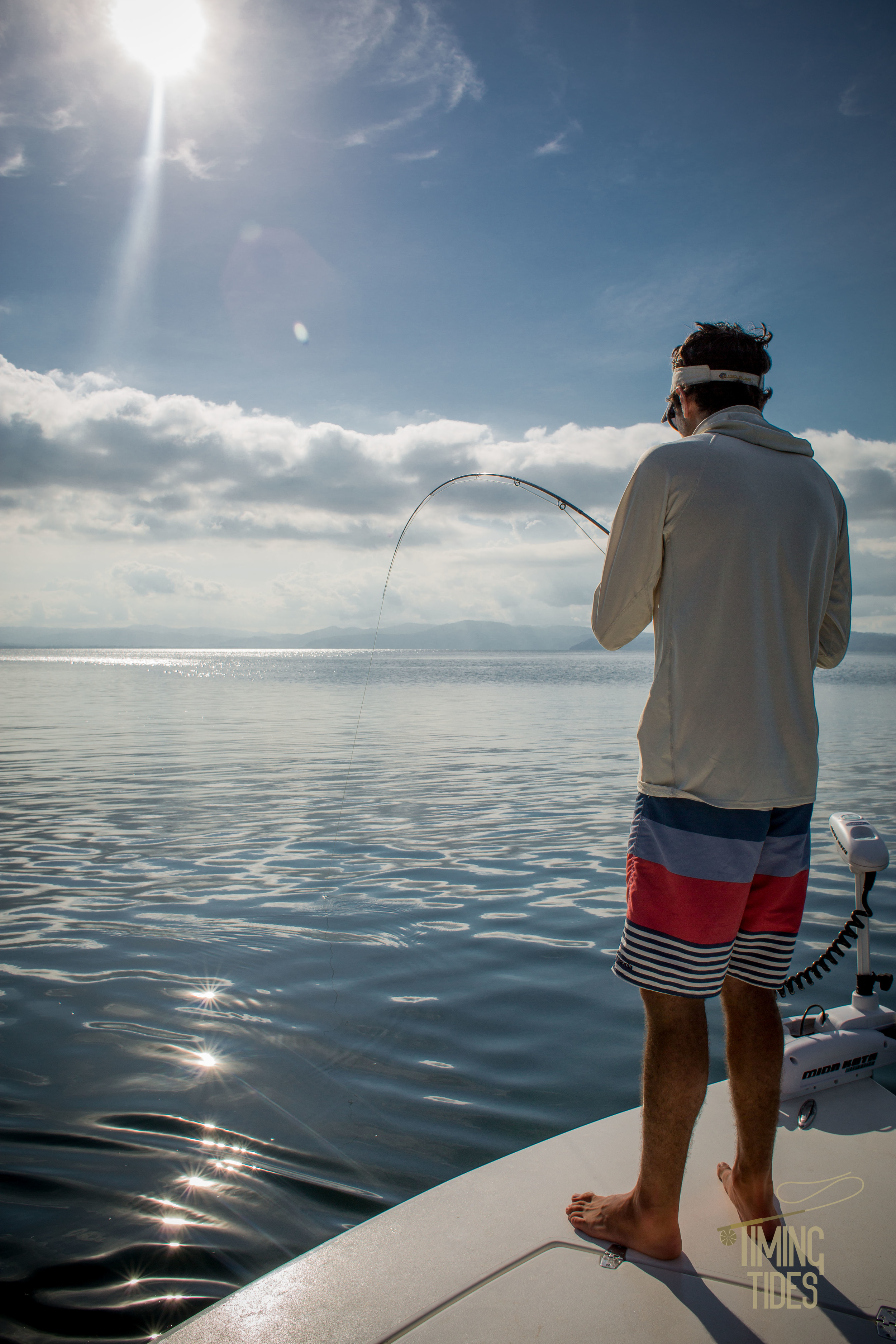 Golden-Trevally-3.jpg