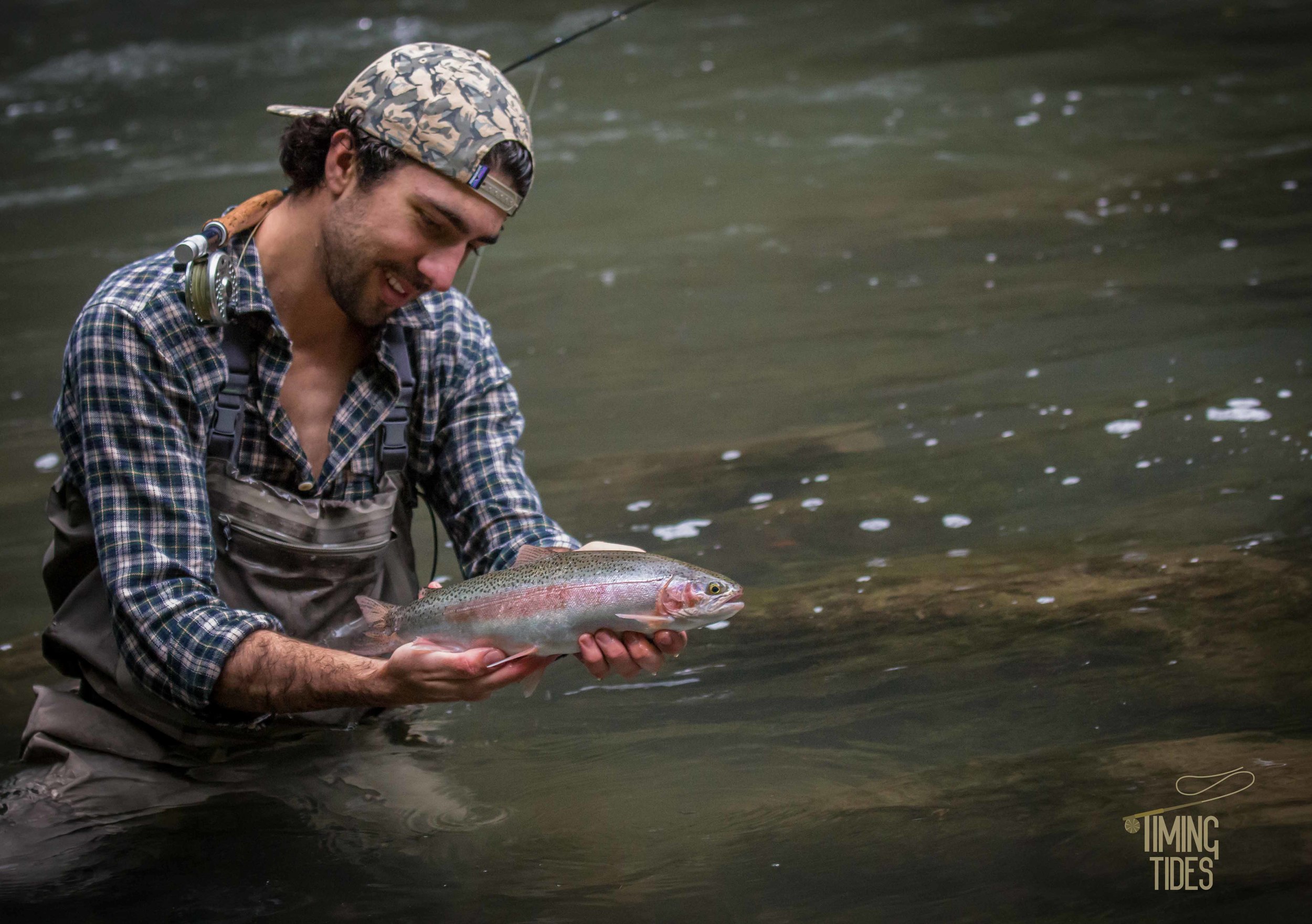 Rainbow trout