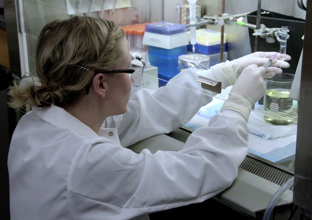 Kristina extracting band of adenovirus after centrifugation settled it between layers of 'heavy' and 'light' cesium chloride.