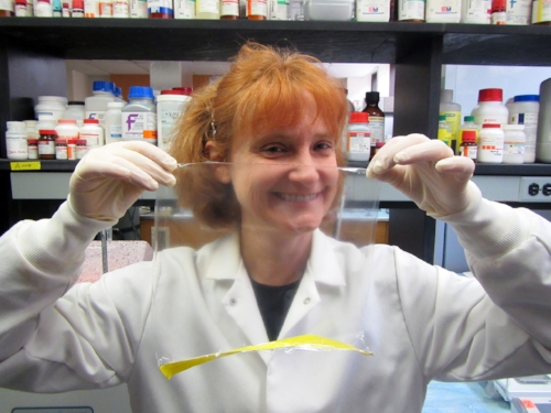 Dr. Maria A. Croyle holding a sheet of edible film capable of storing 100's of vaccine doses at room temperature for over a year.