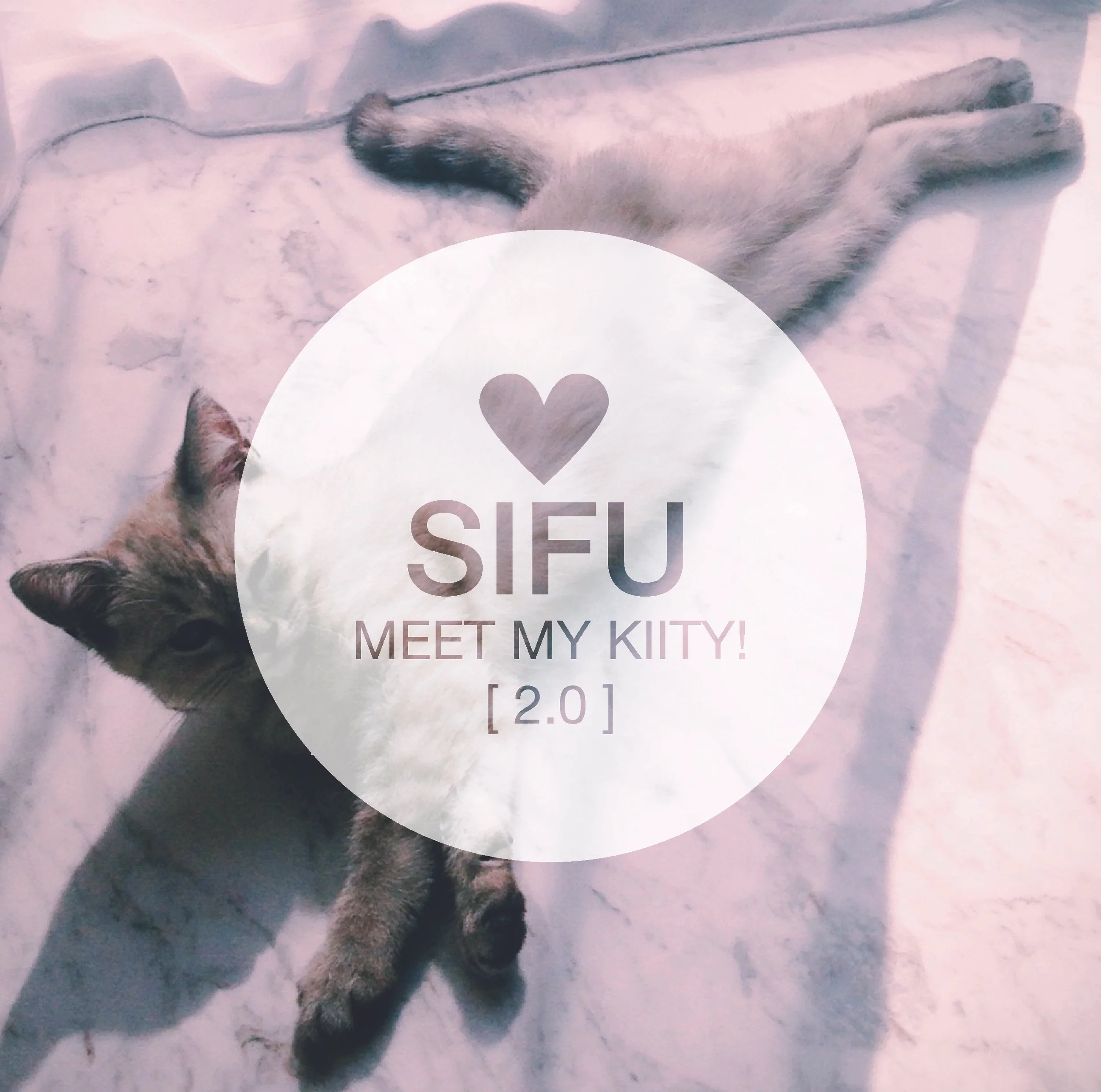 SIFU graphic.jpg