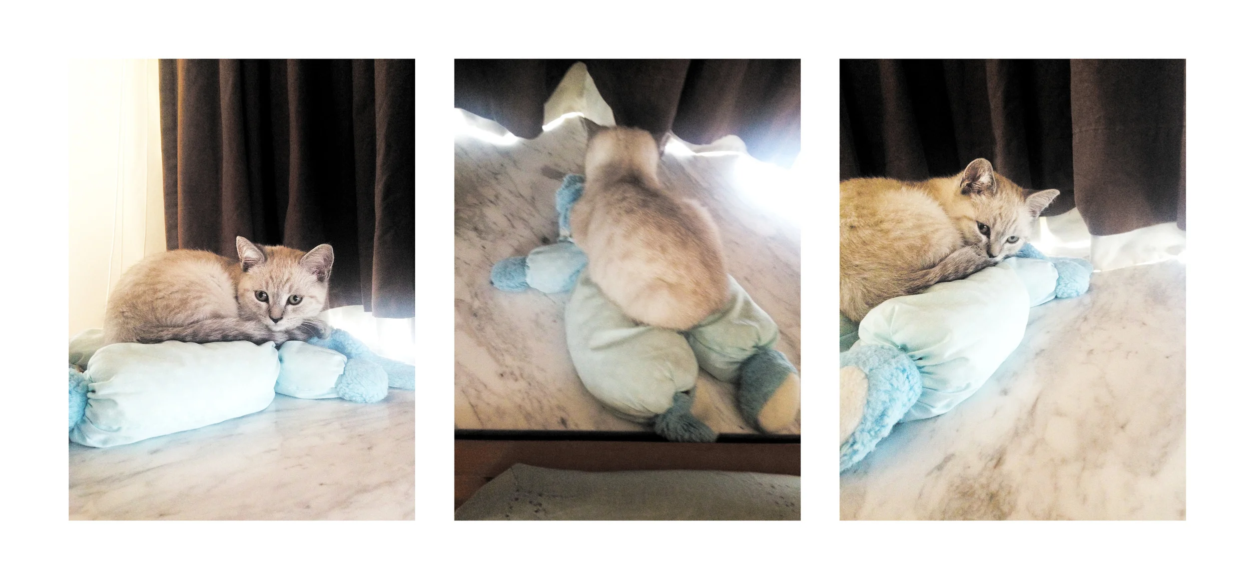 Sifu and Louis, Sifu can detect my attachment, and therefore attached himself to Louis. 