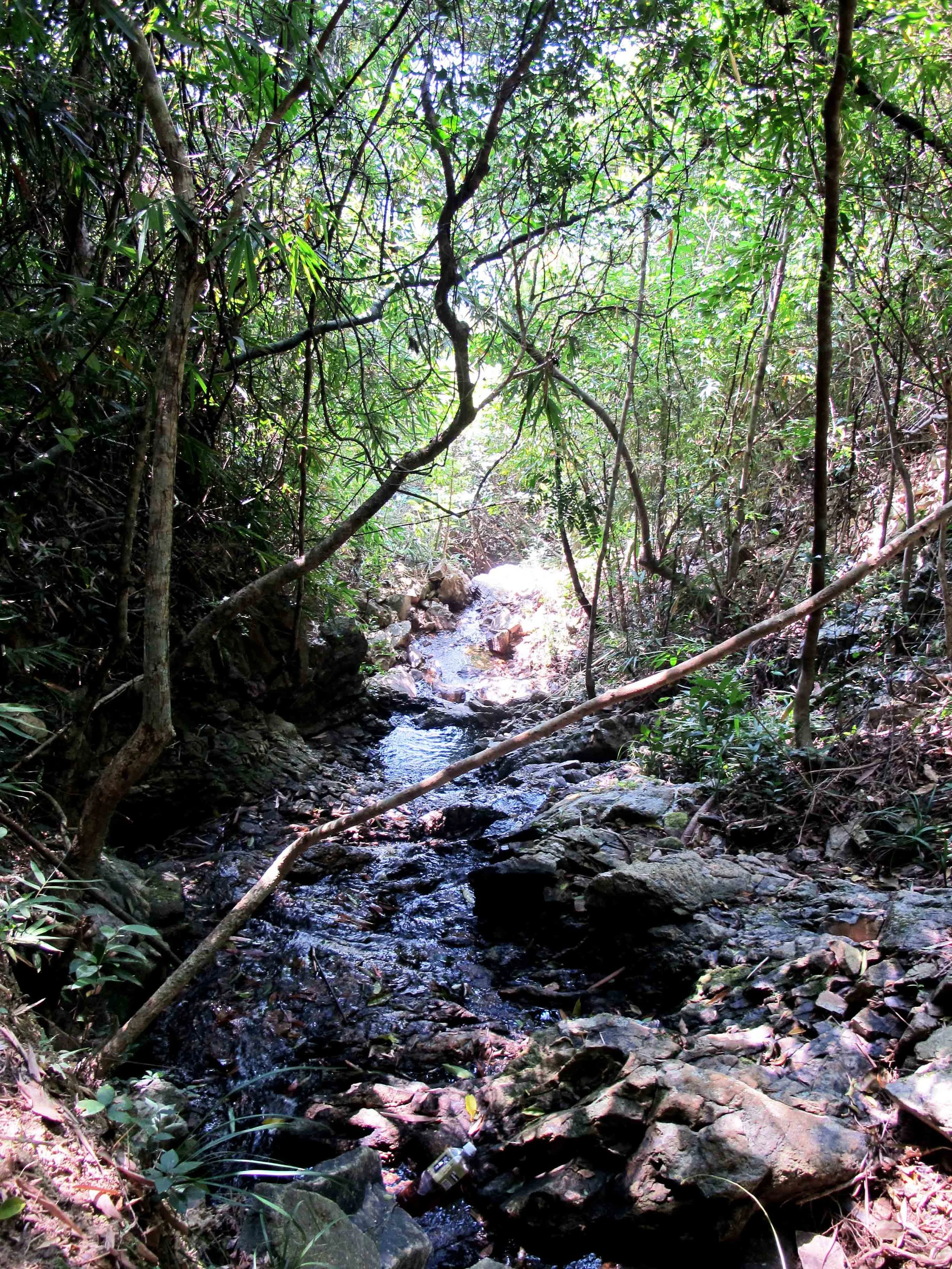 Expect natural streams and waterfalls