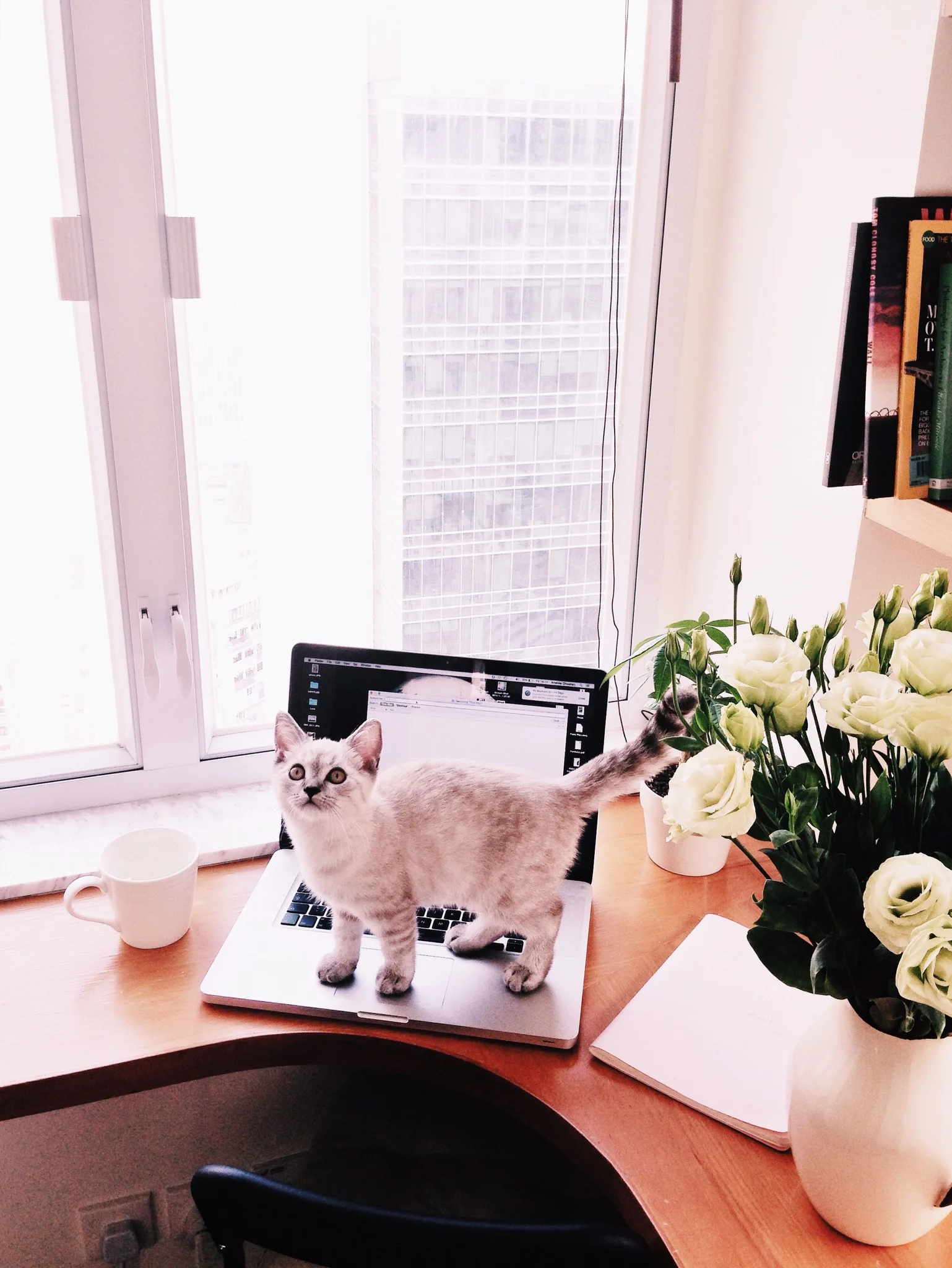helping me with my blog