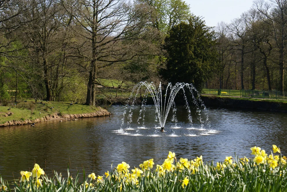 pretty standard crap fountains in parks (img - pintrest)