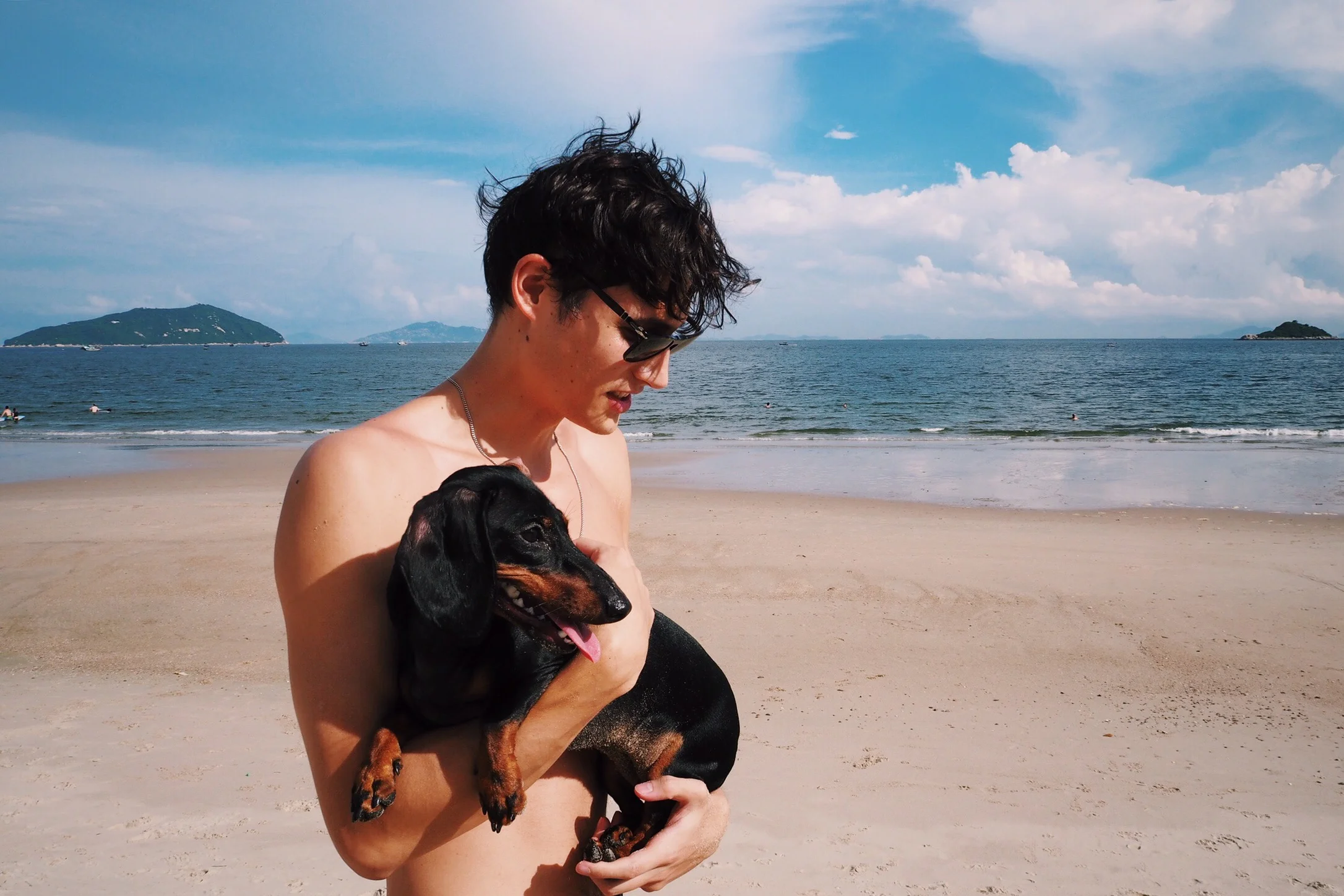 lizzy! my favourtire dog in hong kong