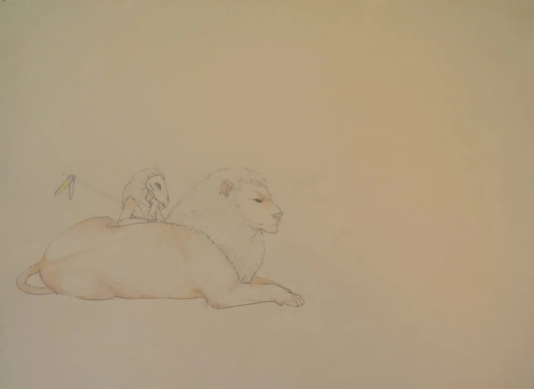   huntress . 36" x 24". graphite and watercolor pencil on paper. 