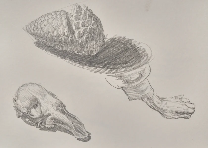 My nights were spent drawing by the fireplace from objects that I collected while on walks- but always finding a new position to draw my other hand.